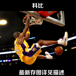 高尔基文学院艺术文凭证书